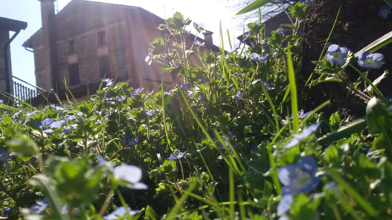 Albergo Rurale Parco Di San Floriano Polcenigo Buitenkant foto