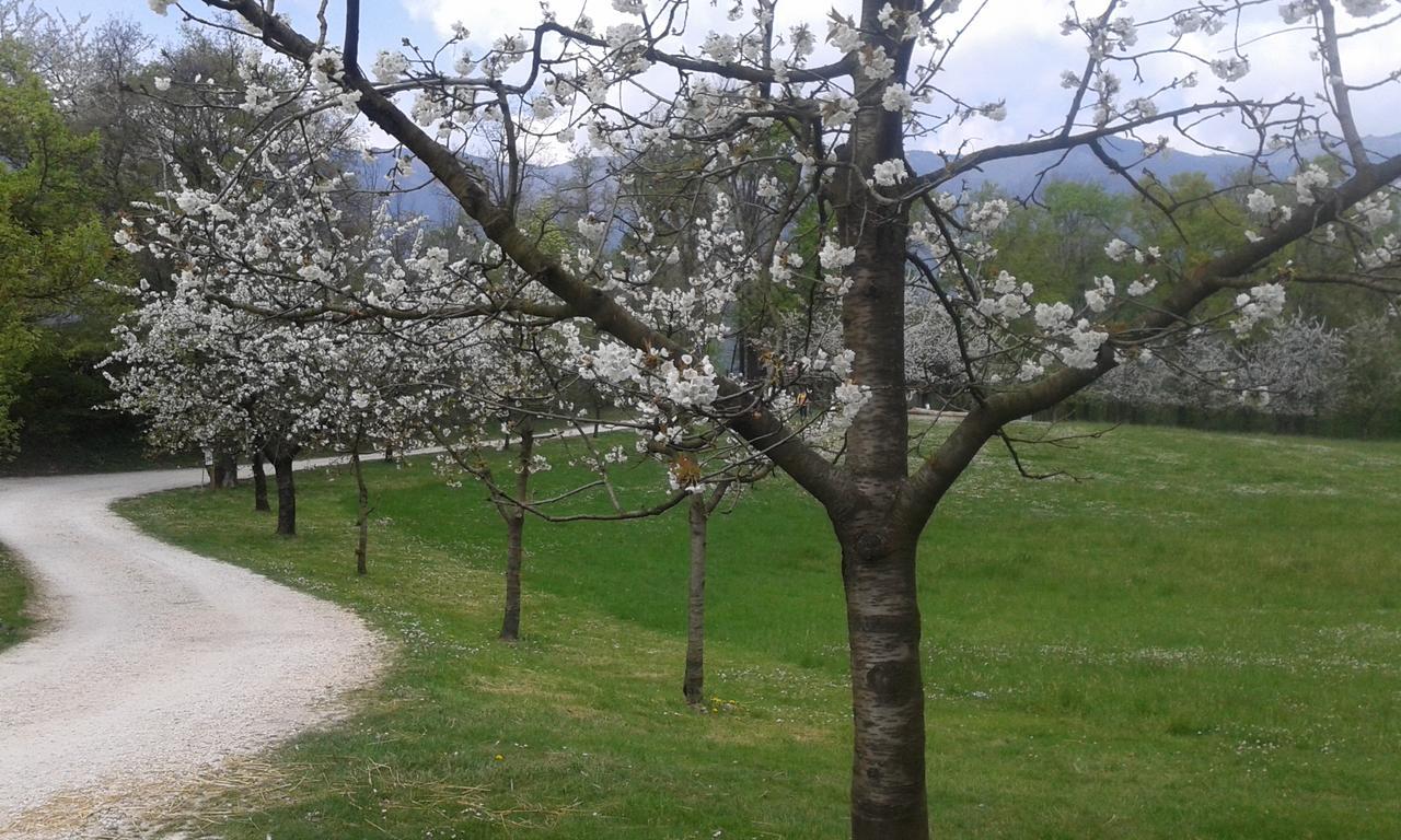 Albergo Rurale Parco Di San Floriano Polcenigo Buitenkant foto